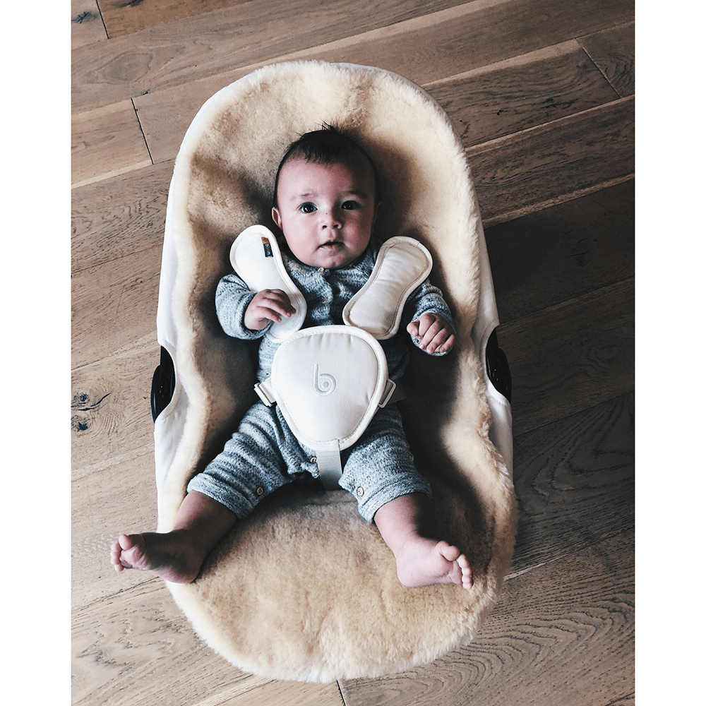 Baby bjorn bouncer vs bloom cheap coco lounger